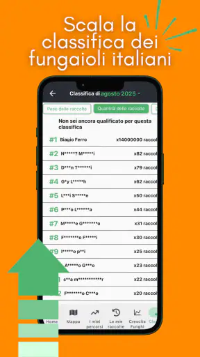 Geoticket screenshot