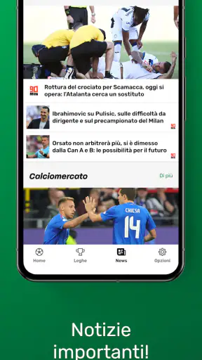 GoalAlert Risultati di calcio screenshot
