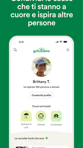 GoFundMe screenshot