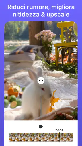 Gomma Video: Oggetti Filigrane screenshot
