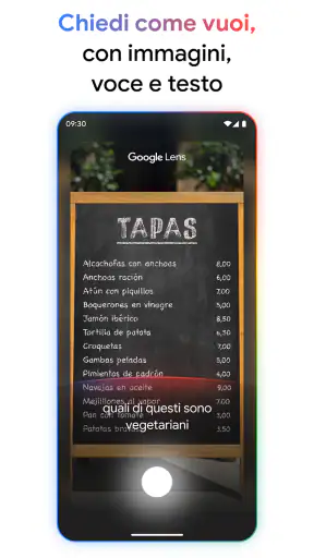 Google screenshot