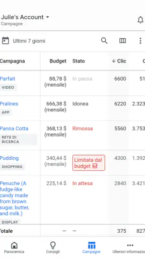 Google Ads screenshot
