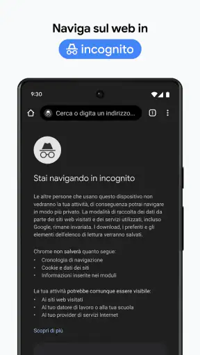 Google Chrome screenshot