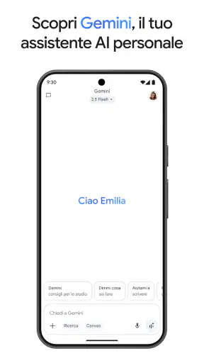 Google Gemini screenshot