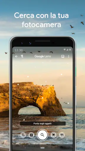 Google Lens screenshot