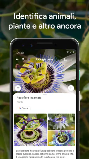 Google Lens screenshot