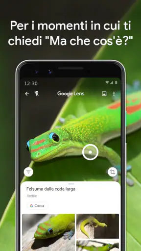 Google Lens screenshot
