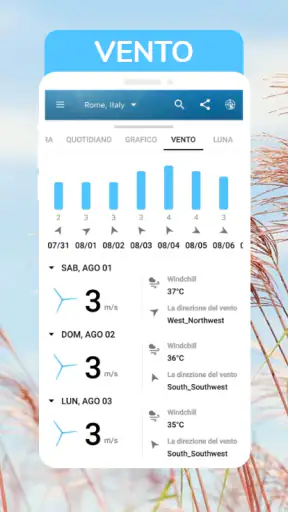 Grafico meteo: domani, oggi screenshot