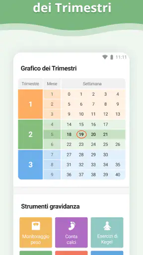 Gravidanza screenshot
