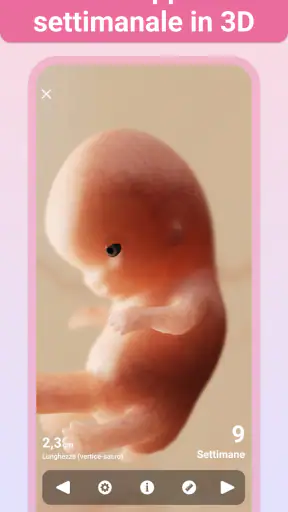 Gravidanza +| Maternità App screenshot