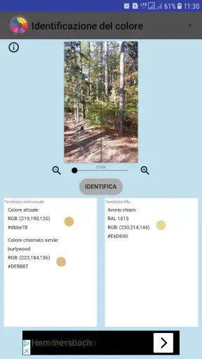 Identificazione del colore screenshot