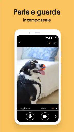 IP Camera - Videosorveglianza screenshot