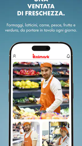 Italmark screenshot