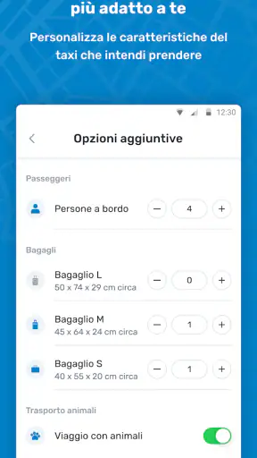 itTaxi screenshot