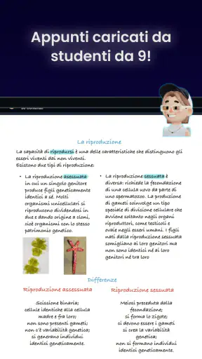 Knowunity - IA per lo studio screenshot
