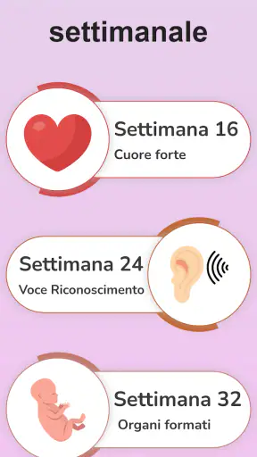 La mia gravidanza in italiano screenshot