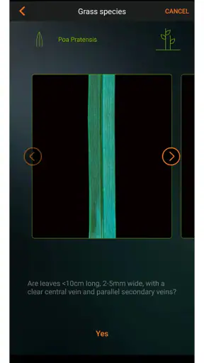 Landroid screenshot