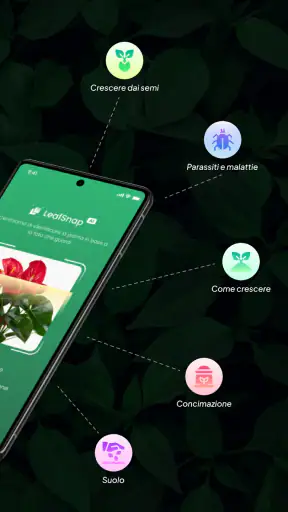 LeafSnap Plant Identification screenshot