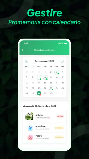 LeafSnap Plant Identification screenshot