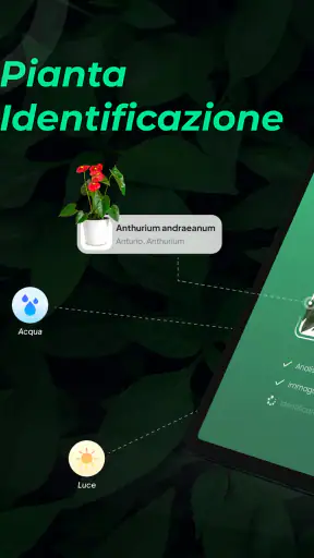 LeafSnap Plant Identification screenshot