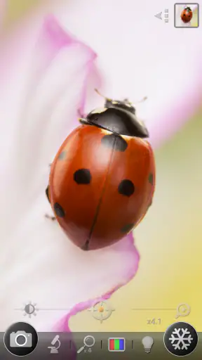 Lente di ingrandimento screenshot