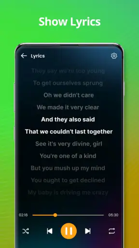 Lettore musicale screenshot