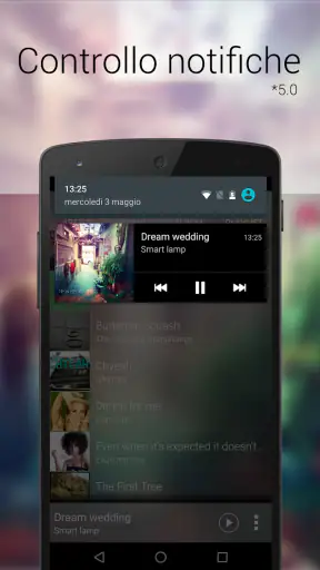Lettore musicale: Music Player screenshot