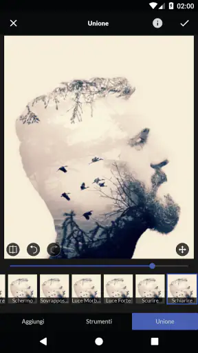 LightX Modifica e Ritocco foto screenshot
