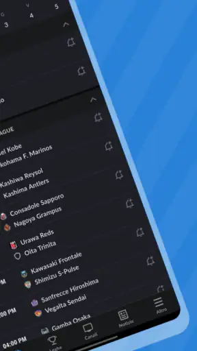 Live Calcio TV: Risultati screenshot