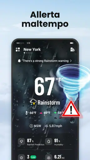 Local Weather screenshot