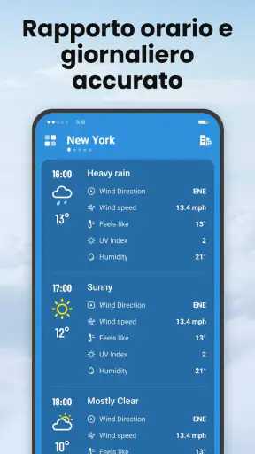 Local Weather screenshot