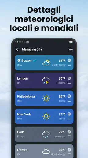 Local Weather screenshot