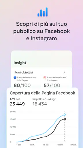 Meta Business Suite screenshot