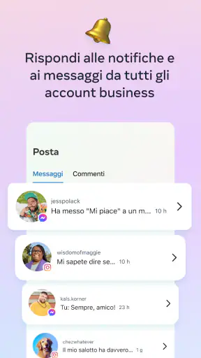 Meta Business Suite screenshot