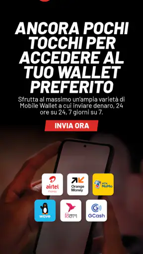 MoneyGram® Invia Denaro Online screenshot