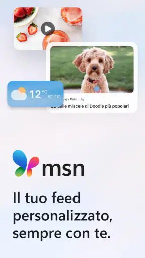 MSN screenshot