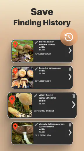 Mushroomizer screenshot