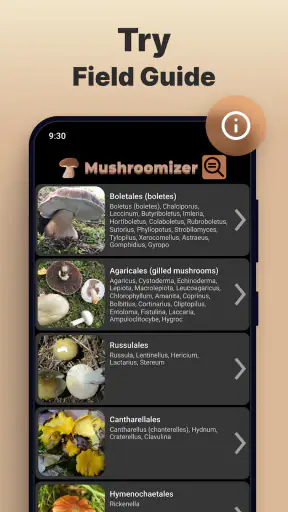 Mushroomizer screenshot