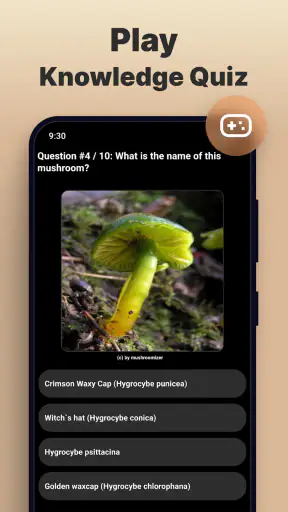 Mushroomizer screenshot