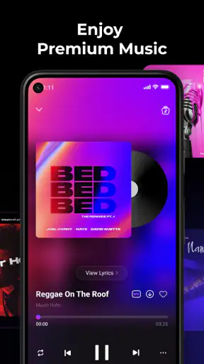 Music Echo-Offline Music screenshot