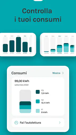 MyAcea Energia screenshot