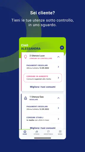 MySorgenia screenshot
