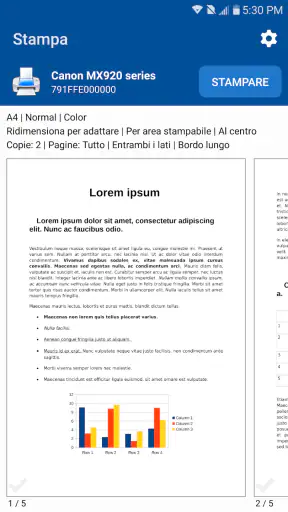 NokoPrint - Stampa mobile screenshot