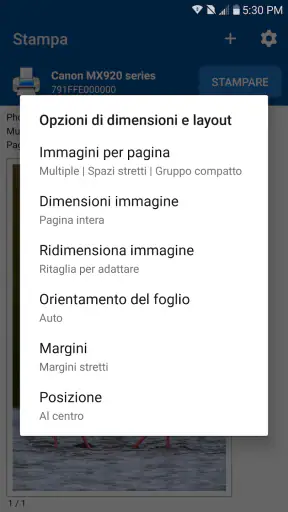 NokoPrint - Stampa mobile screenshot