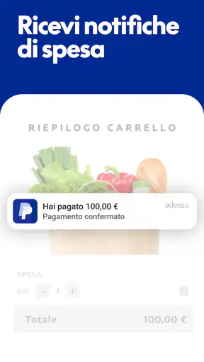 PayPal screenshot