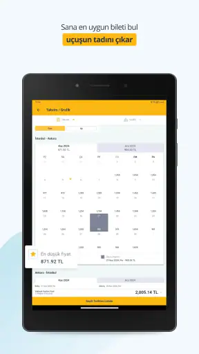 Pegasus Airlines screenshot