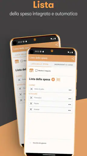 Piano Alimentare & Ricette screenshot