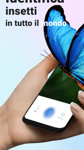 Picture Insect - ID Insetti screenshot