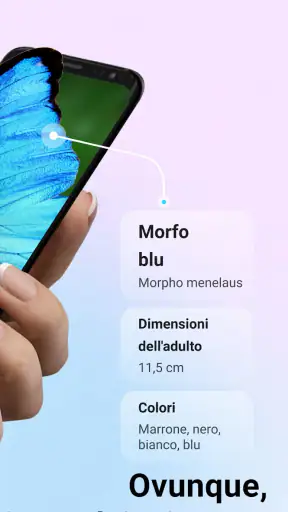 Picture Insect - ID Insetti screenshot