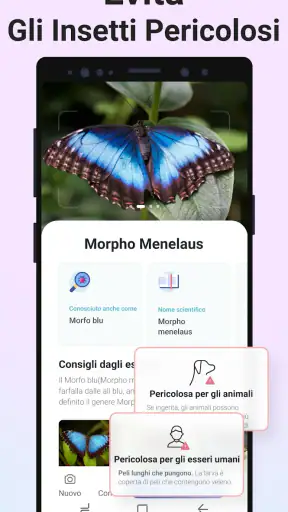 Picture Insect - ID Insetti screenshot